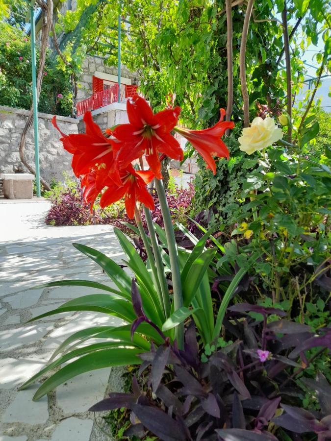 Villa Stone House In Buljarica Petrovac Exterior foto